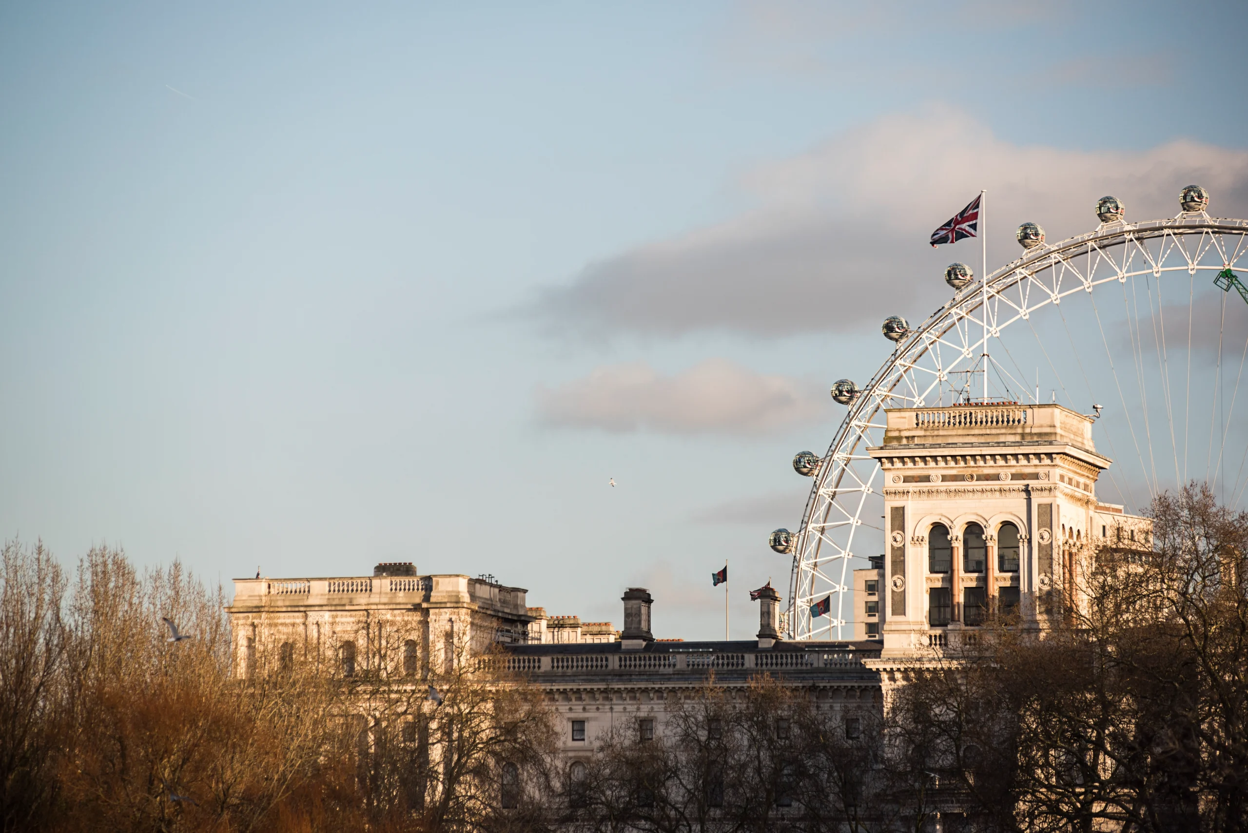 Career Counseling for Study Abroad