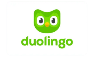 dulingo-test