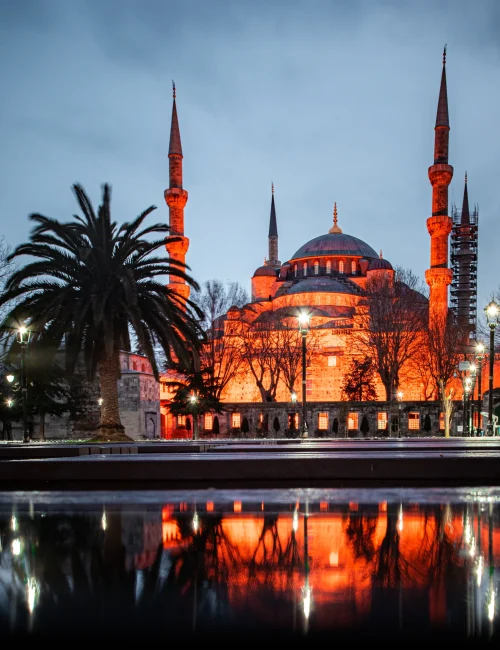 Education Abroad Services